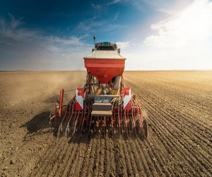 Seeds and Crop Nutrition Solutions